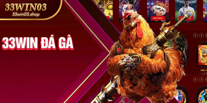 Đá Gà 33win03| Đỉnh Cao Chiến Thuật Cùng Các Chiến Kê Châu Á!